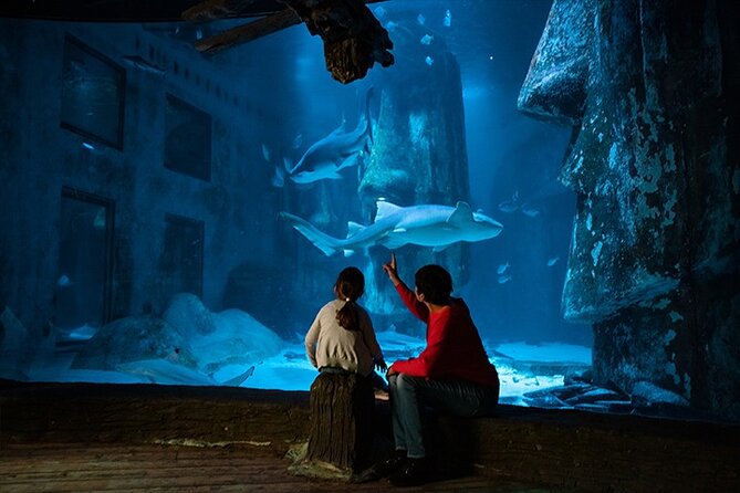 SEA LIFE London Aquarium Admission Ticket - Penguins, turtles, and the small highlights you’ll actually remember