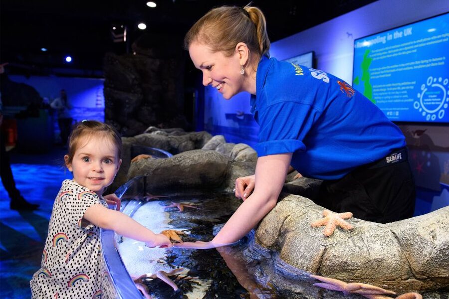SEA LIFE London & DreamWorks Shrek's Adventure: Combo Ticket - The Live Fairytales Show: Touch, Smell, Hear, and Feel
