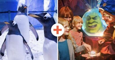 SEA LIFE London & DreamWorks Shrek's Adventure: Combo Ticket - SEA LIFE London Entry: Why “Time Slot for SEA LIFE Only” Matters