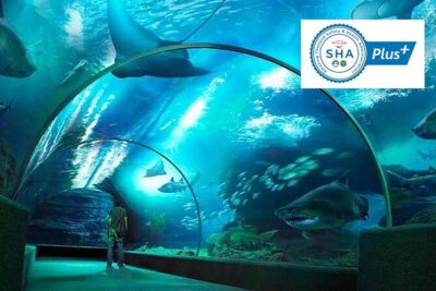SEA LIFE & Madame Tussauds: Ultimate Bangkok Combo Ticket - Madame Tussauds Bangkok in Siam Discovery: Pose, Hug, and Get Your Photo Done