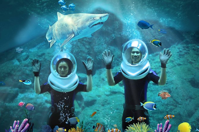 SEA LIFE & Madame Tussauds: Ultimate Bangkok Combo Ticket - How to Schedule the 2–6 Hour Visit Without Feeling Rushed