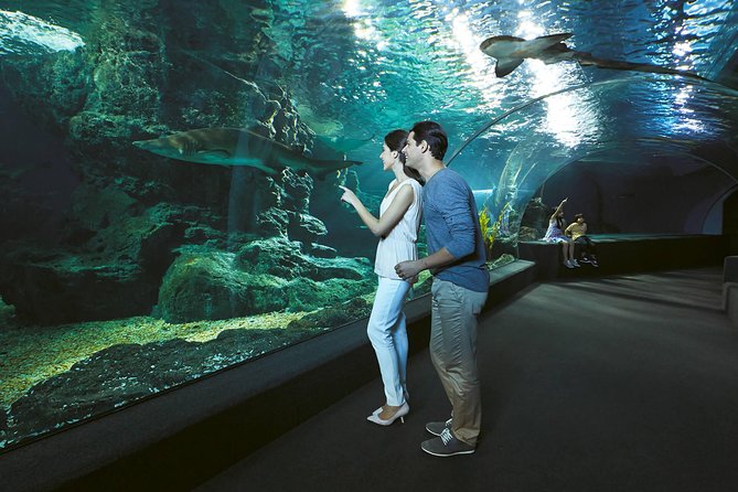 SEA LIFE & Madame Tussauds: Ultimate Bangkok Combo Ticket - Photo and Comfort Tips for Siam: Get Better Shots, Spend Less Energy