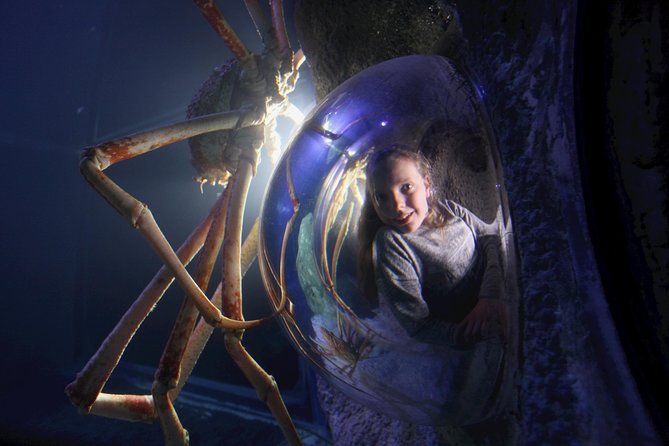 SEA LIFE Manchester Admission Ticket - Underwater Caves, Cave Systems, and the Odd Ones You Won’t Forget