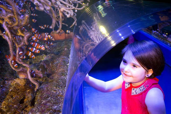 SEA LIFE Manchester Admission Ticket - Sharks, Rays, and the Overhead Viewing Moments With Ernie