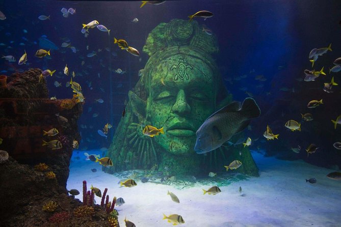 SEA LIFE Manchester Admission Ticket - Stingray Bay: A Calmer Tank Stop That Still Feels Like a Big Moment