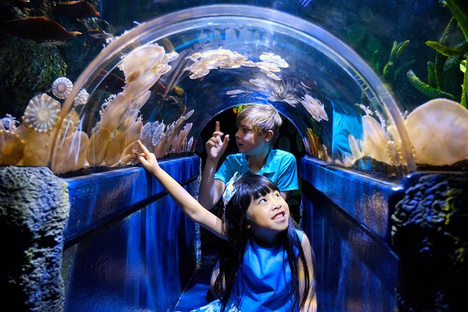 SEA LIFE Melbourne Aquarium Admission Ticket - SEA LIFE Melbourne Aquarium is a simple family plan with built-in variety
