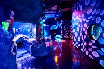 SEA LIFE Melbourne Aquarium Admission Ticket - Price and ticket value: what $27.97 buys you (and what it doesn’t)