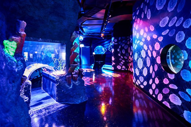 SEA LIFE Melbourne Aquarium Admission Ticket - Price and ticket value: what $27.97 buys you (and what it doesn’t)