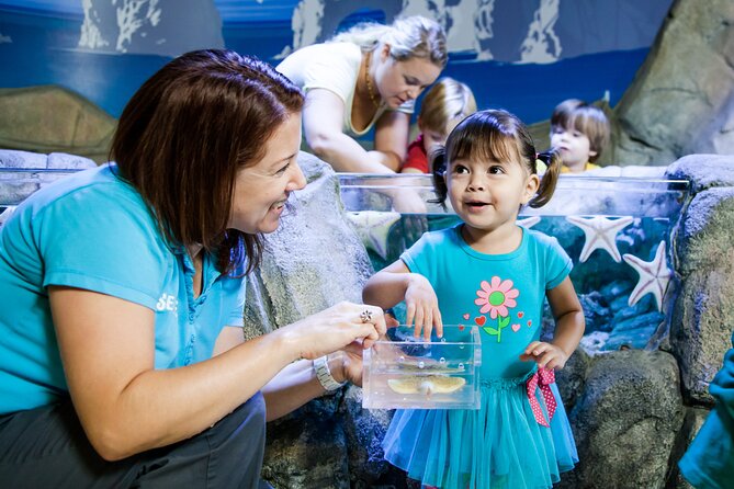 SEA LIFE Michigan Aquarium Admission Ticket - Great Lakes Crossing makes this aquarium easy (and a little sneaky)
