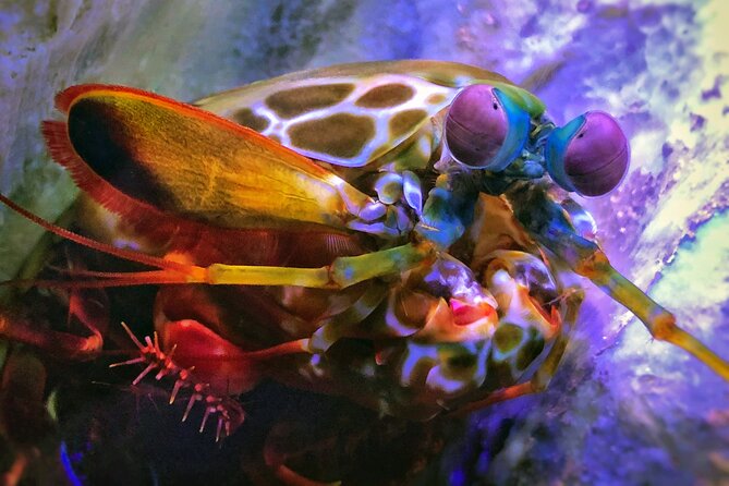 SEA LIFE Michigan Aquarium Admission Ticket - Stop 3 option: LEGO indoor time turns a short aquarium into a full day