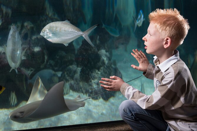 SEA LIFE Michigan Aquarium Admission Ticket - Who should book SEA LIFE Michigan Aquarium?