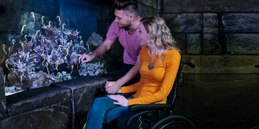 SEA LIFE Michigan Aquarium General Admission - Price and value at around $25 per person
