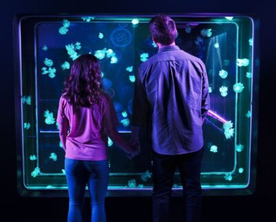 SEA LIFE Michigan Aquarium General Admission - Tickets, timing, and what a 1-day general admission pass really means