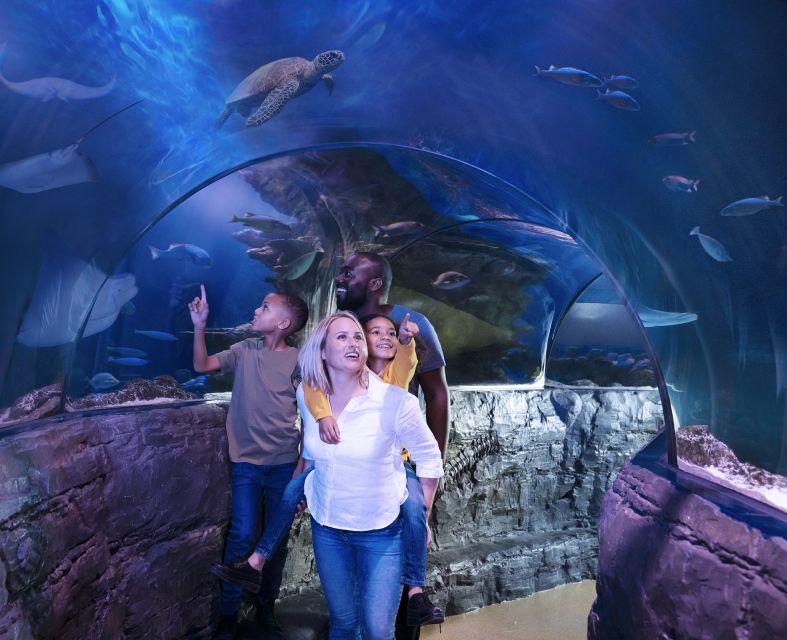 SEA LIFE Michigan Aquarium General Admission - Meet the big names: sharks, turtles, rays, and jellies