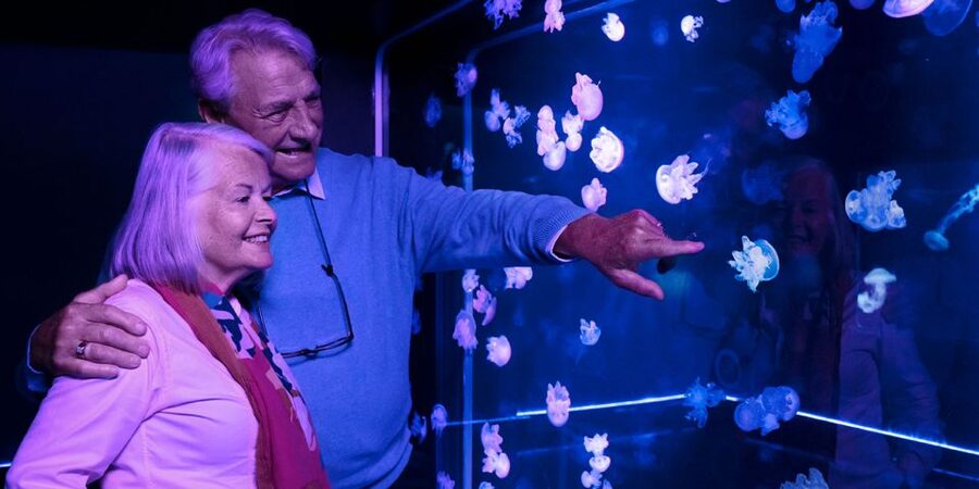 SEA LIFE Michigan Aquarium General Admission - Family-friendly value in a smaller aquarium