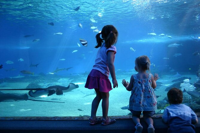 SEA LIFE Munich Admission Ticket - Key things to know before you go