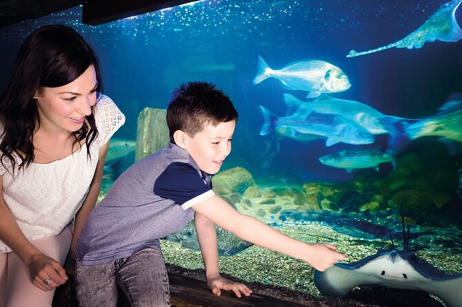 SEA LIFE Munich Admission Ticket - Location at Munich’s Olympic Park: good for pairing plans