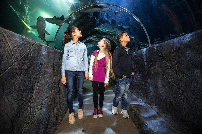 SEA LIFE Munich Admission Ticket - Price check: when this aquarium feels like a smart buy