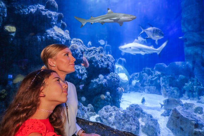 SEA LIFE Munich Admission Ticket - The shark displays: why this one section changes everything