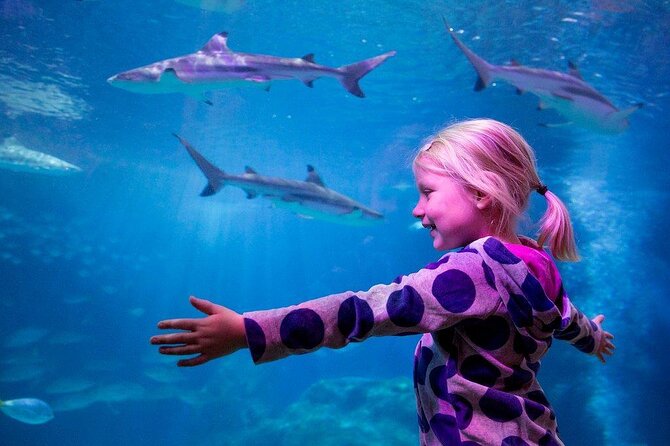 SEA LIFE Oberhausen Admission Ticket - Key things I’d plan for