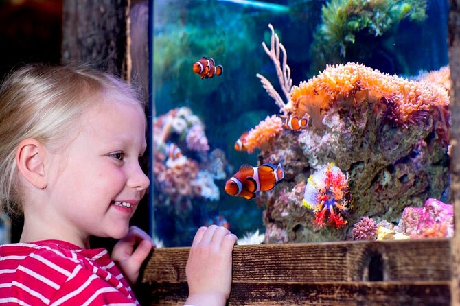 SEA LIFE Oberhausen Admission Ticket - Glass Tunnel Aquarium Over Your Head