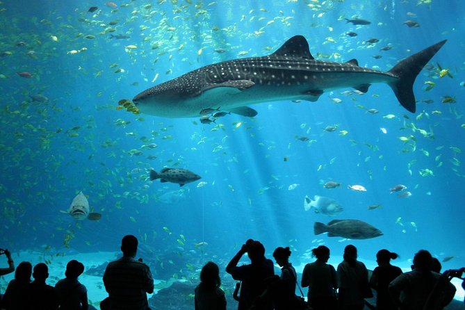 SEA LIFE Ocean World at Bangkok Admission Ticket - Key highlights at a glance