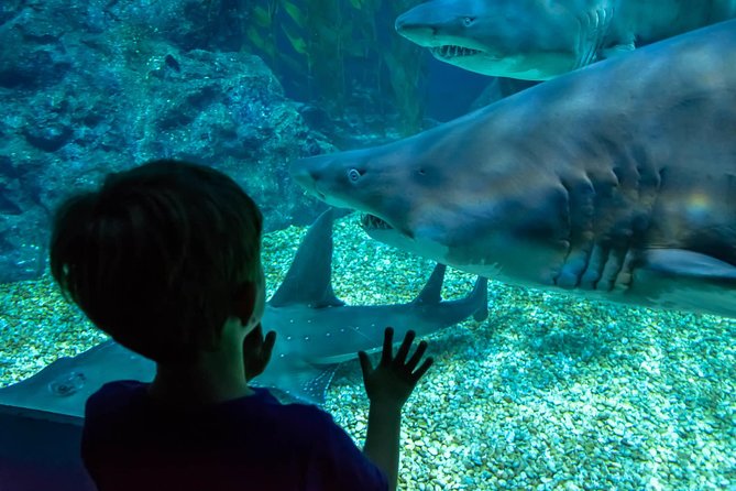 SEA LIFE Ocean World at Bangkok Admission Ticket - Price and logistics: how to get value from a $62.93 ticket