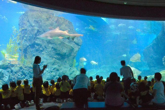 SEA LIFE Ocean World at Bangkok Admission Ticket - Should you book SEA LIFE Ocean World Bangkok?