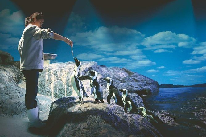 SEA LIFE Ocean World at Bangkok Admission Ticket - FAQ