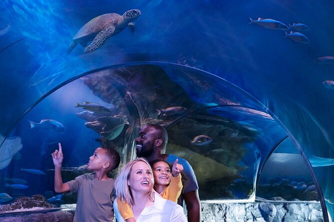 SEA LIFE Orlando Aquarium Admission Ticket at ICON Park - Feedings and demos: when education is part of the show
