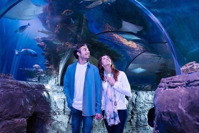 SEA LIFE Orlando Aquarium Admission Ticket at ICON Park - Hands-on time (and why it can be limited)