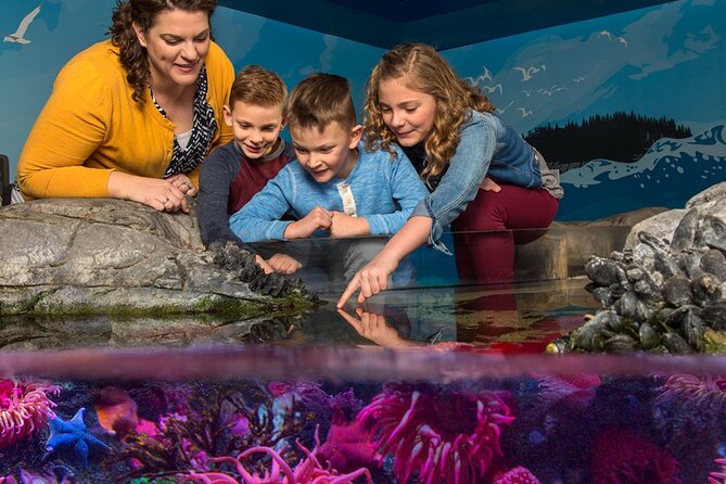 SEA LIFE Orlando Aquarium Admission Ticket at ICON Park - From wetlands to the Gulf: how the aquarium route really works