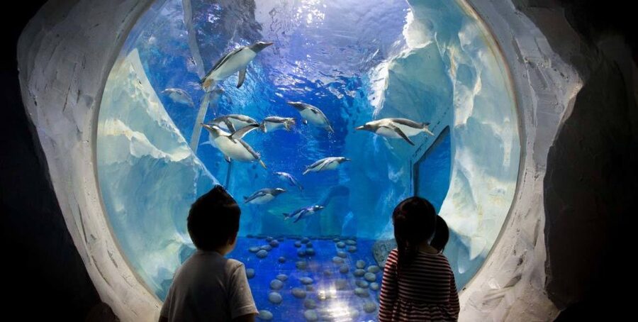 SEA LIFE Paris: Admission Ticket - Key things I’d zero in on