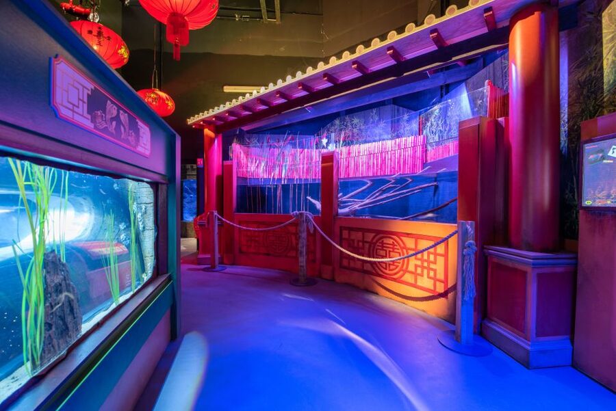 SEA LIFE Paris: Admission Ticket - Should you book SEA LIFE Paris?