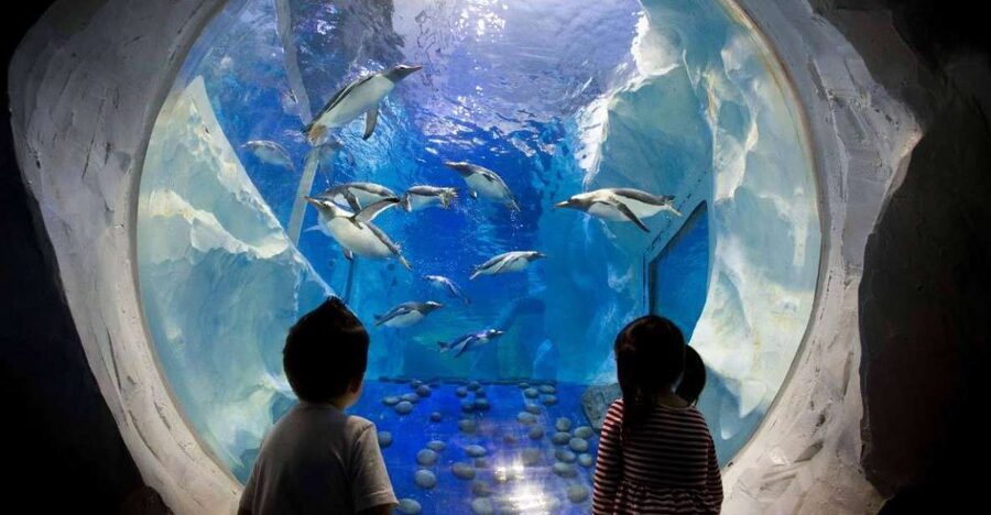 SEA LIFE Paris: Admission Ticket - SEASCAN: the easiest way to learn without getting stuck