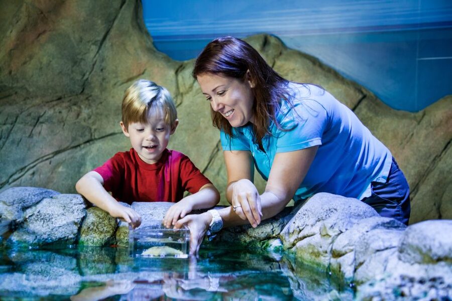 SEA LIFE Paris: Admission Ticket - I-Sand Creation and the Virtual Aquarium: making it feel like your visit
