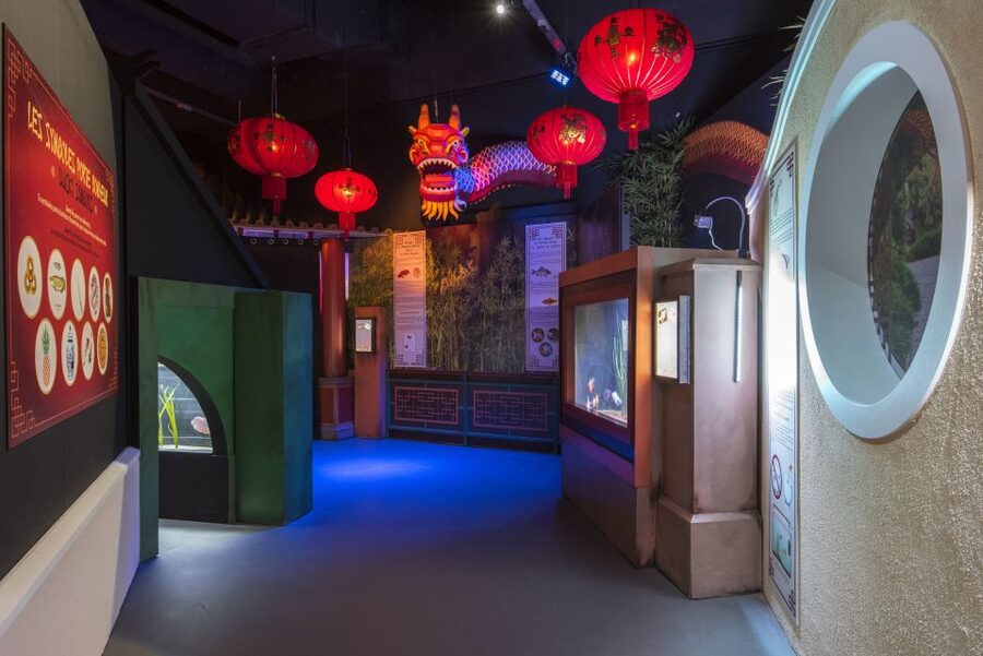 SEA LIFE Paris: Admission Ticket - The themed zones: Antarctic Adventure, Atlantis, and the Asia area