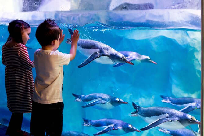 SEA LIFE Paris Val d'Europe Aquarium Entry Ticket - Key things to know before you go