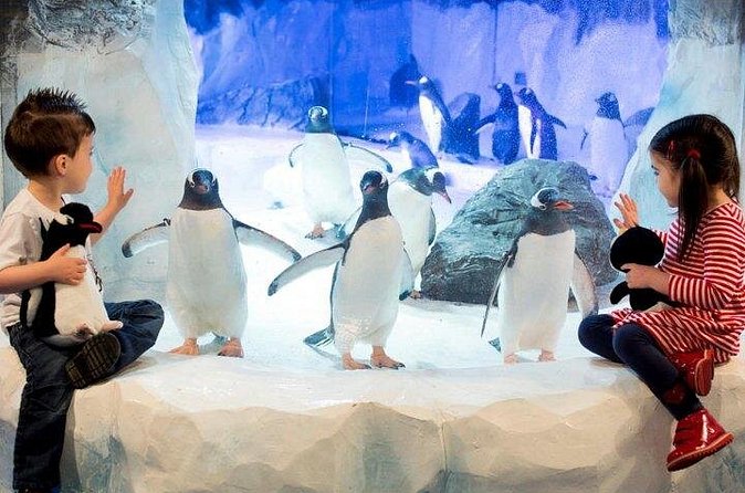 SEA LIFE Paris Val d'Europe Aquarium Entry Ticket - Rocky Ponds Touch Experience: Starfish, Sea Anemone, and Crab