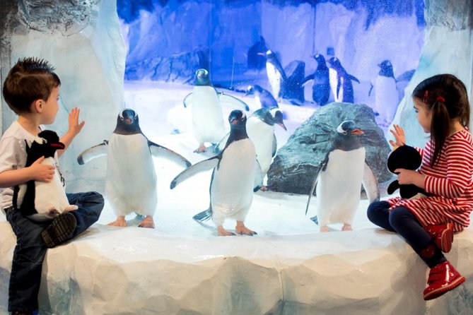 SEA LIFE Paris Val d'Europe Aquarium Entry Ticket - Public Feeding Times: Build Your Schedule Around Actual Animal Activity