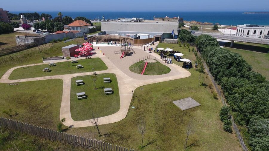 SEA LIFE Porto Full-Day Entrance Ticket - Free feeding demonstrations and educational talks: where the ticket really earns its keep