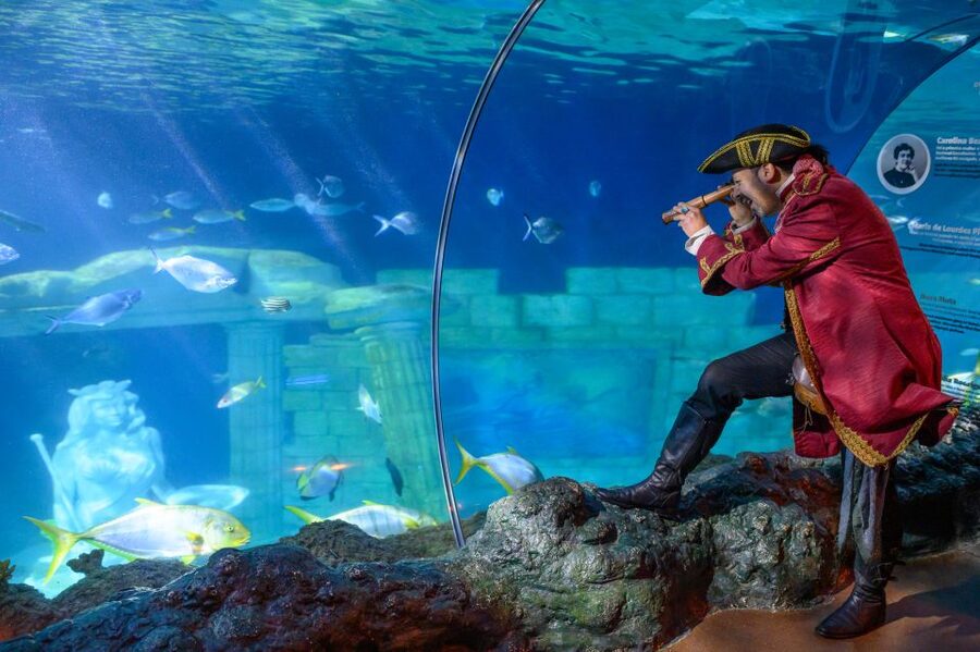 SEA LIFE Porto Full-Day Entrance Ticket - Your full-day ticket: what 1 day buys you (and why re-entry matters)