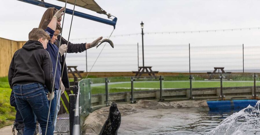 Sea Life Scarborough - First Look: Arriving on Scarborough’s North Bay
