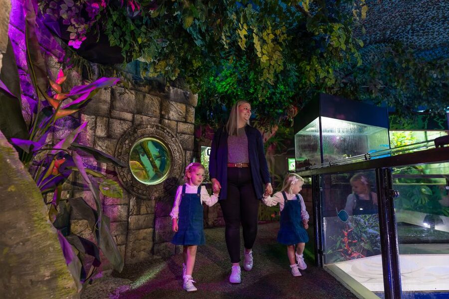 Sea Life Scarborough - Talks and Feed Times: Why This Is More Than Ticket-Only