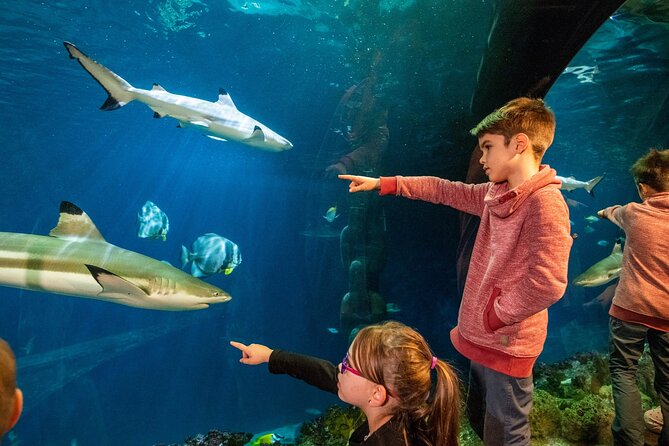 SEA LIFE Speyer Admission Ticket - Key things to know before you go