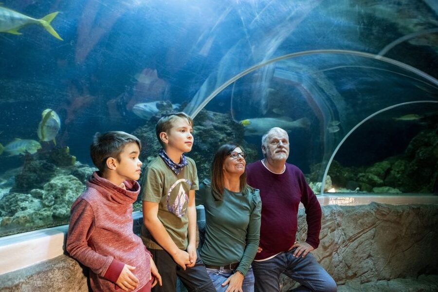 Sea Life Speyer Ticket - Practical tips: how to make your visit longer, not just longer hours