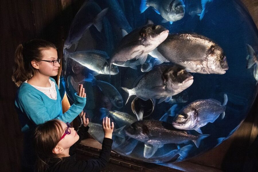 Sea Life Speyer Ticket - Amazon-themed area: the longest river as a calmer pause