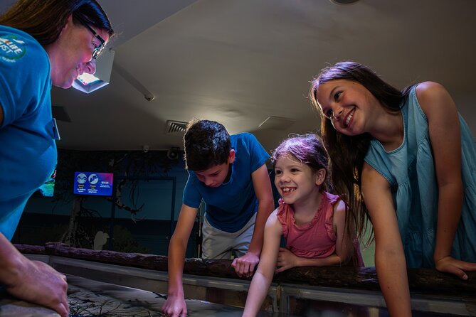 SEA LIFE Sunshine Coast Aquarium Entrance Ticket - Daily animal talks: seal, ray, jellyfish, and how to time them