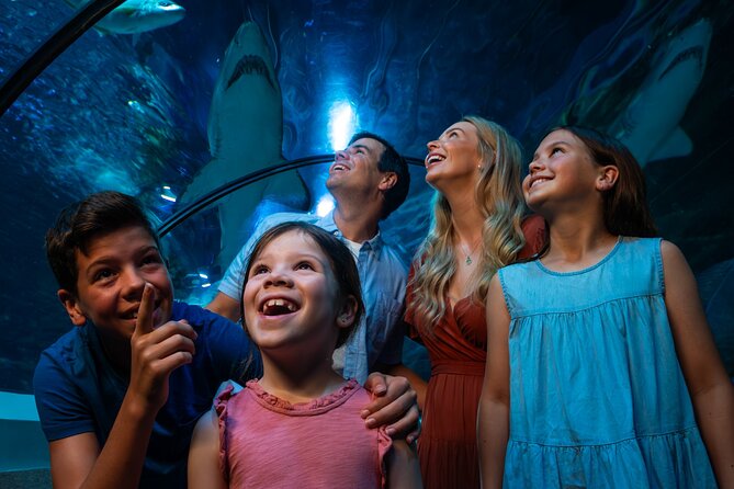 SEA LIFE Sunshine Coast Aquarium Entrance Ticket - How long is 1.5 hours really? (And how to make it feel longer)
