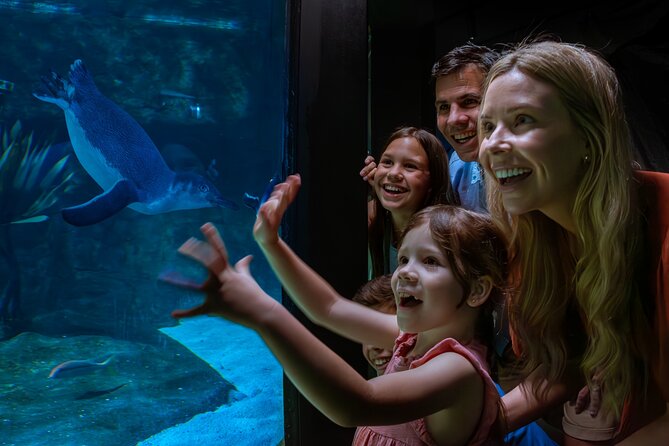 SEA LIFE Sunshine Coast Aquarium Entrance Ticket - Extras you might want to add later